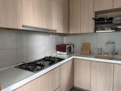 Viz At Holland (D10), Condominium #504536221